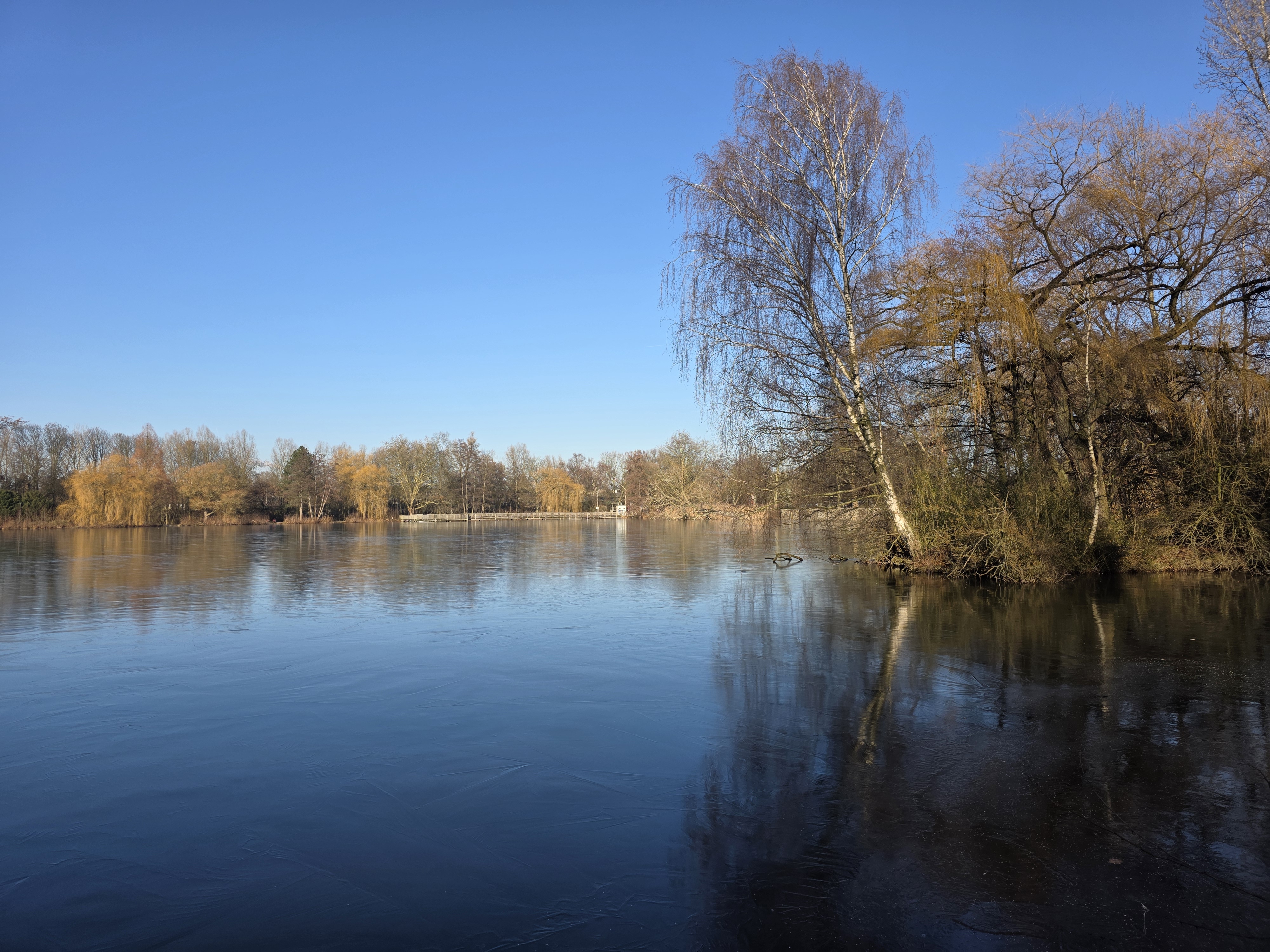 Nordparkteich im Winterlicht mit Blick über die Wasserfläche